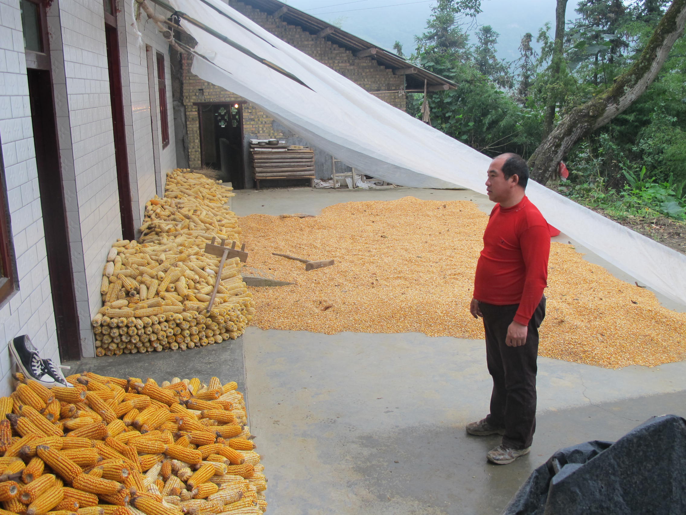 UPM’s Xuyong Household Biogas Project has its 3rd Issuance of Gold Standard VERs